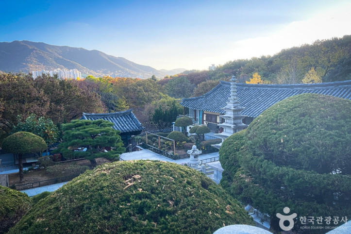 금용사(대구) 여행 추천 - 메고지고