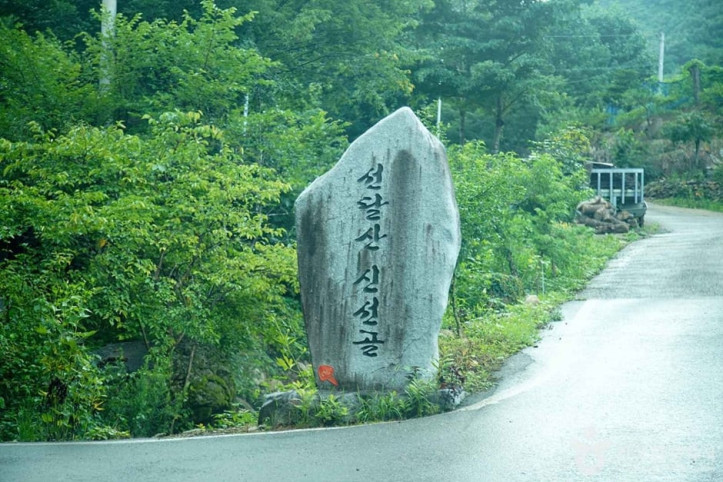 선달산(영월) 여행 추천 - 메고지고