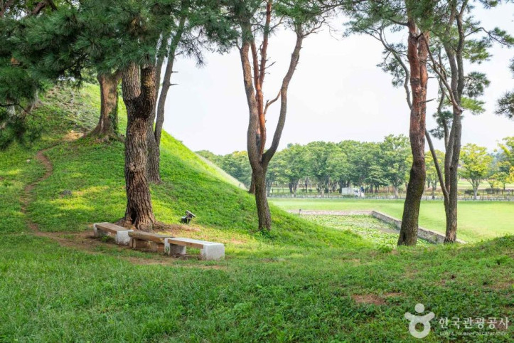 월성이랑 여행 추천 - 메고지고
