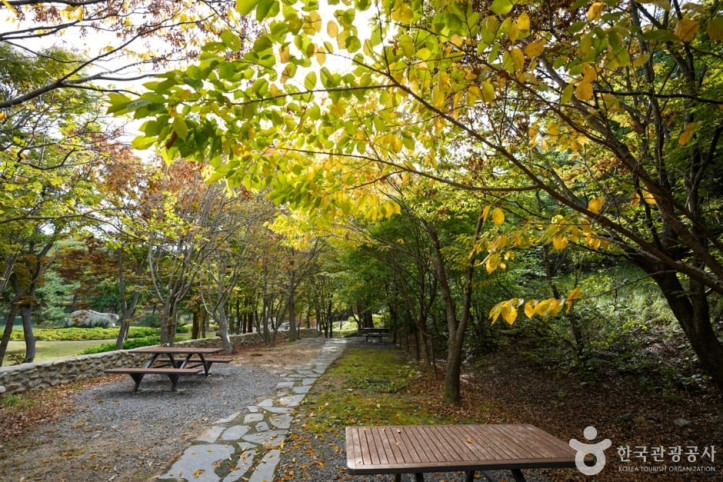 경상북도수목원 여행 추천 - 메고지고
