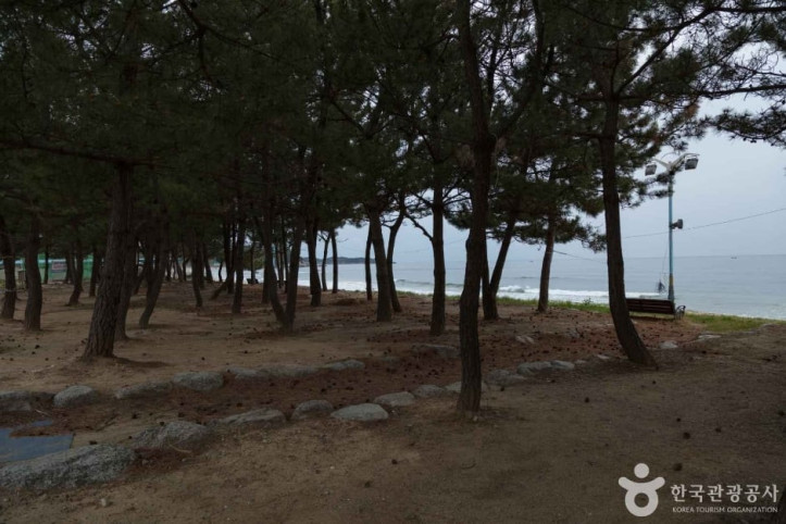 동산해수욕장 여행 추천 - 메고지고