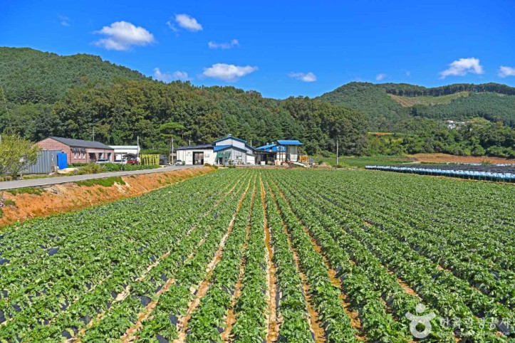 춘천 솔바우마을 여행 추천 - 메고지고