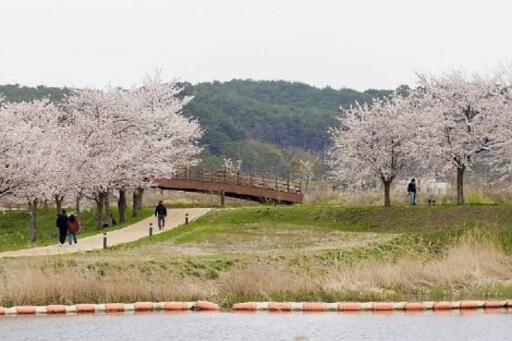 경포생태저류지 여행 추천 - 메고지고