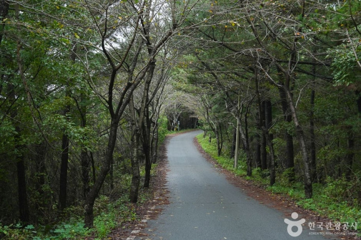 가제산 여행 추천 - 메고지고