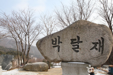 괴산 오가리 느티나무 여행 추천 - 메고지고