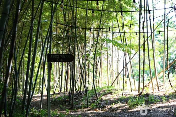 상상산책길 여행 추천 - 메고지고