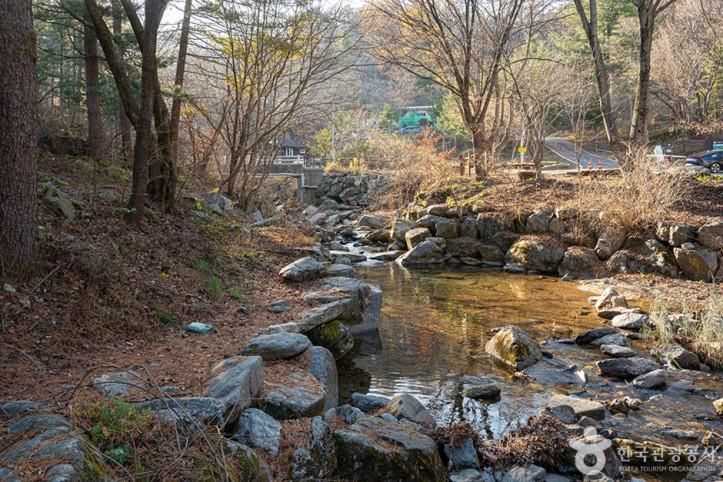 유명산계곡 여행 추천 - 메고지고