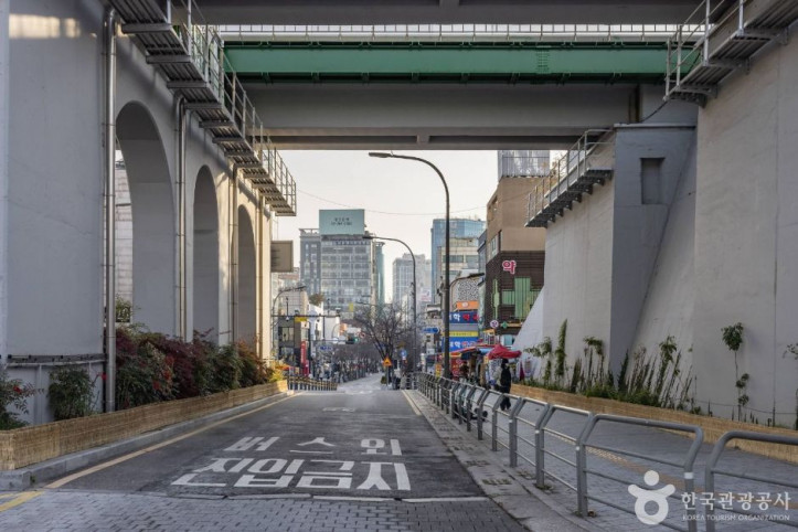 연세로 여행 추천 - 메고지고