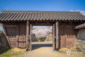 조명군총 여행 추천 - 메고지고