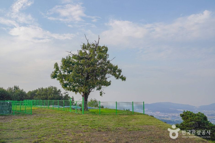 죽주산성 여행 추천 - 메고지고