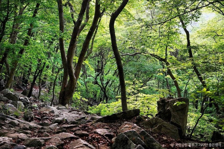 계룡산국립공원 여행 추천 - 메고지고