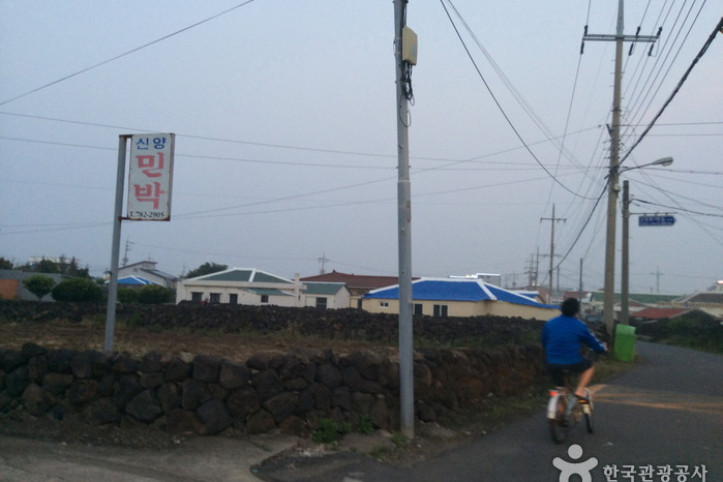 신양마을 여행 추천 - 메고지고