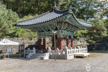 캐리비안베이 여행 추천 - 메고지고