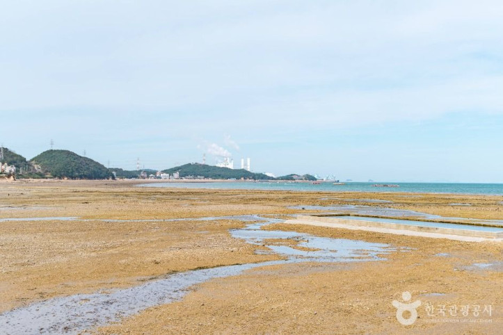 용무치항 여행 추천 - 메고지고
