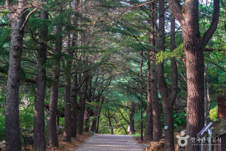 팔공산국립공원(동화사지구) 여행 추천 - 메고지고