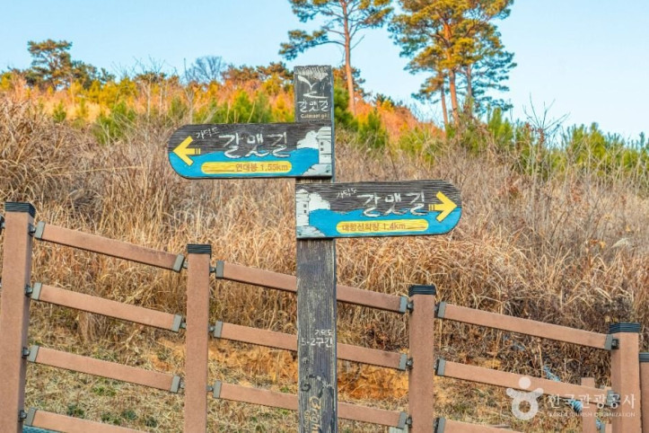 [부산 갈맷길] 5코스 여행 추천 - 메고지고