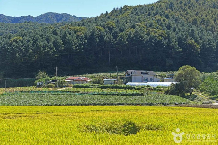 춘천 솔바우마을 여행 추천 - 메고지고