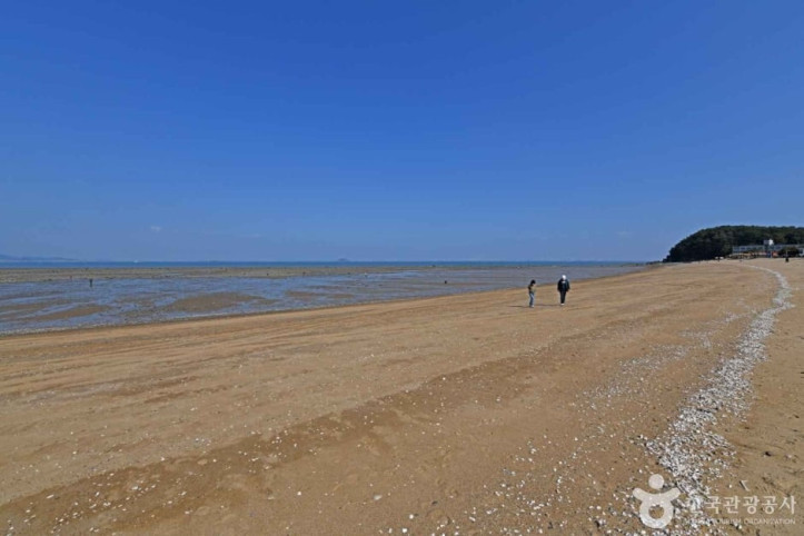 영흥도 십리포해변 여행 추천 - 메고지고