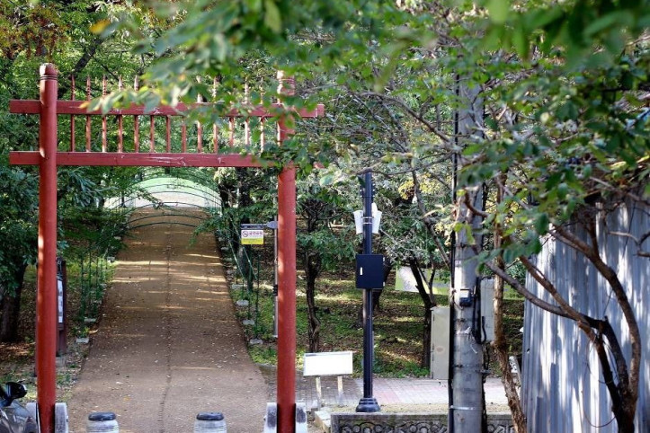 자인계정숲(경산 자인의계정숲) 여행 추천 - 메고지고