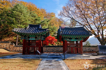 충주시 반려동물 놀이터 여행 추천 - 메고지고
