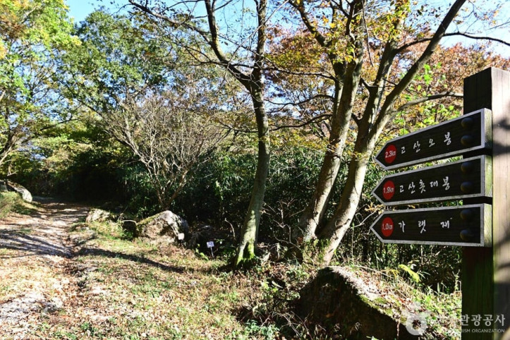 고산 여행 추천 - 메고지고