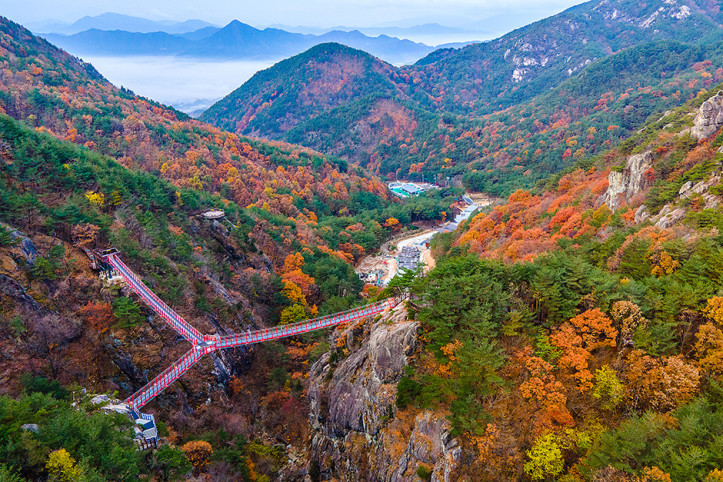 우두산 출렁다리(거창 Y자형 출렁다리) 여행 추천 - 메고지고