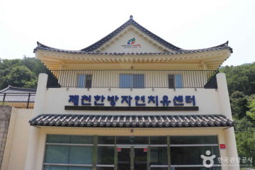 국립제천치유의숲 여행 추천 - 메고지고
