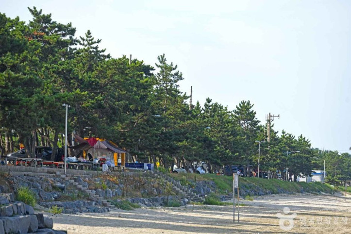 해리마을 여행 추천 - 메고지고