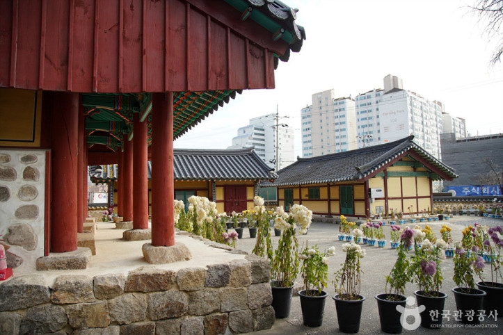 용산서원(동해) 여행 추천 - 메고지고