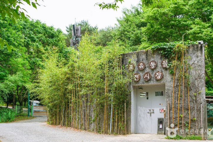 울산대공원 동물원 여행 추천 - 메고지고