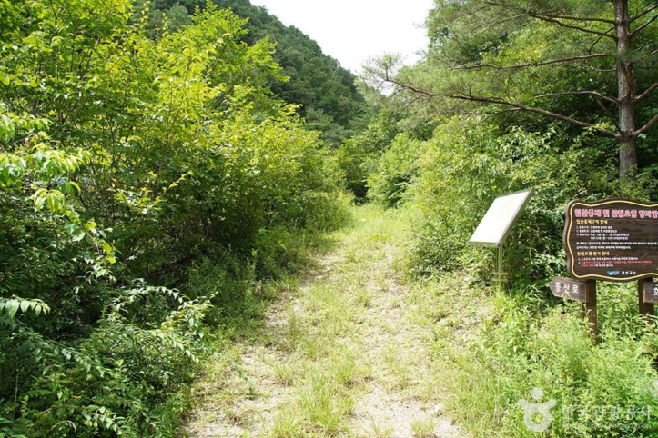 상정바위산 여행 추천 - 메고지고