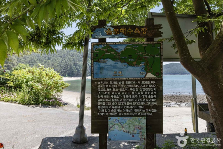 음포해수욕장 여행 추천 - 메고지고