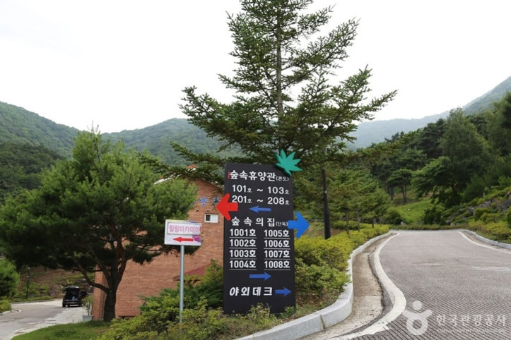동의보감촌한방자연휴양림 여행 추천 - 메고지고