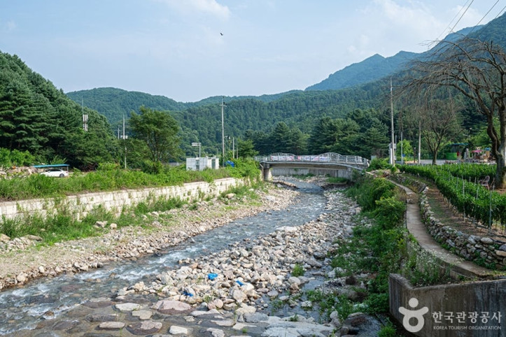 지장계곡 여행 추천 - 메고지고