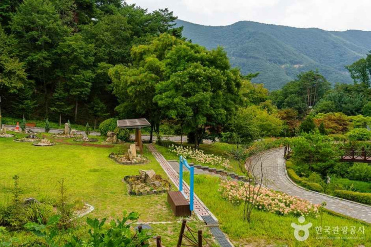 백두대간 생태수목원 여행 추천 - 메고지고