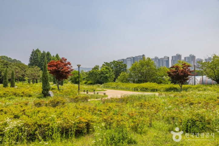 연희공원 여행 추천 - 메고지고