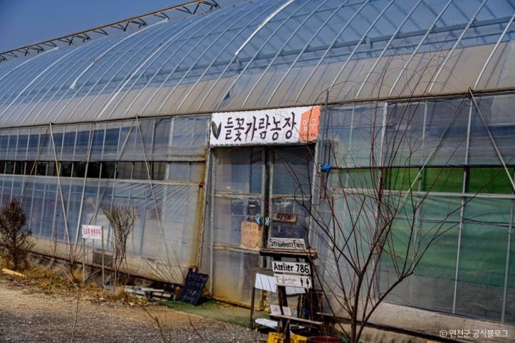 들꽃가람농장 여행 추천 - 메고지고