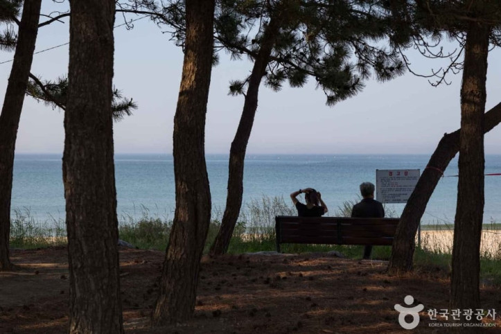 동산해수욕장 여행 추천 - 메고지고