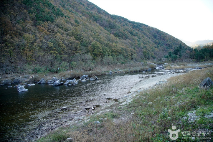 남대천(강릉) 여행 추천 - 메고지고