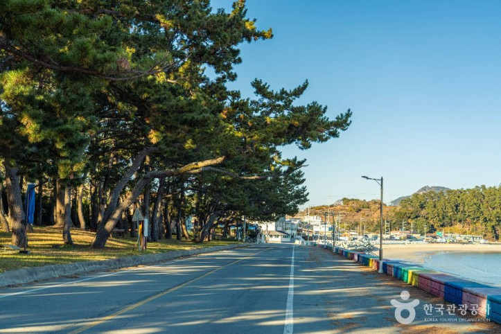 동고리해수욕장 여행 추천 - 메고지고