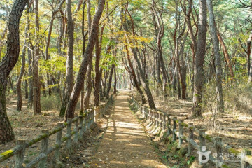 통일전(경주) 여행 추천 - 메고지고