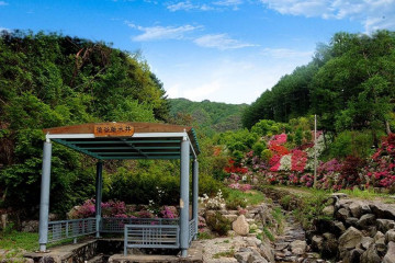 광치자연휴양림 여행 추천 - 메고지고