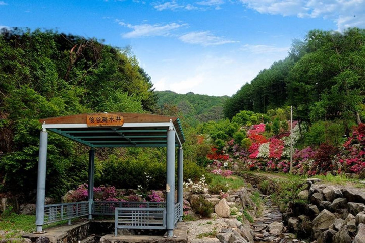 후곡약수터 여행 추천 - 메고지고