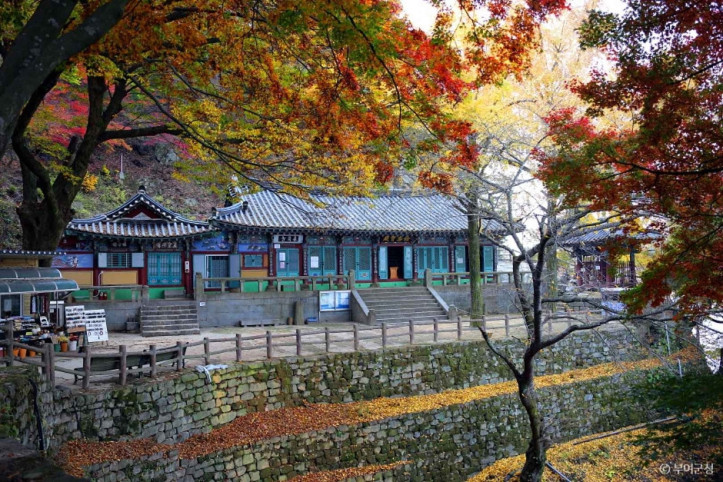 낙화암 여행 추천 - 메고지고
