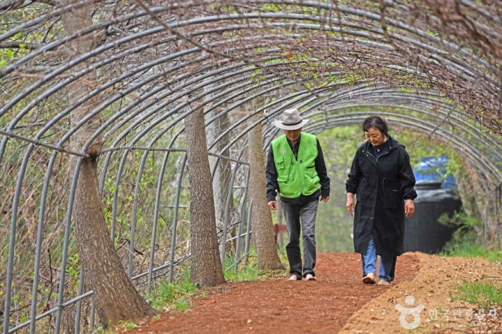 평창사랑 여행 추천 - 메고지고