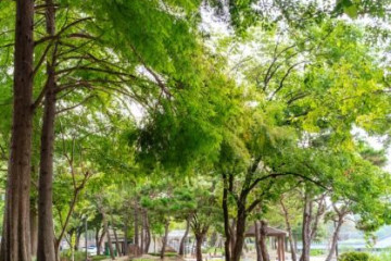 황강서원 여행 추천 - 메고지고