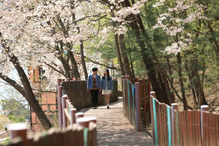 쁘띠프랑스 여행 추천 - 메고지고