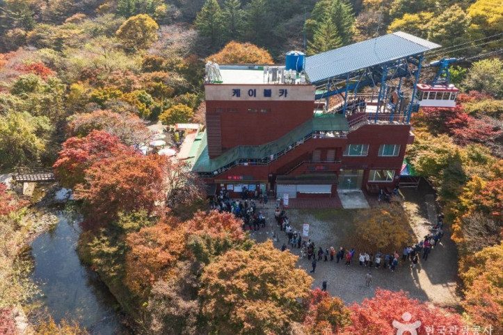 내장산국립공원 여행 추천 - 메고지고