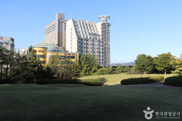 둔산선사유적지 여행 추천 - 메고지고