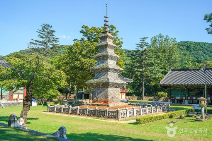 송림사(칠곡) 여행 추천 - 메고지고
